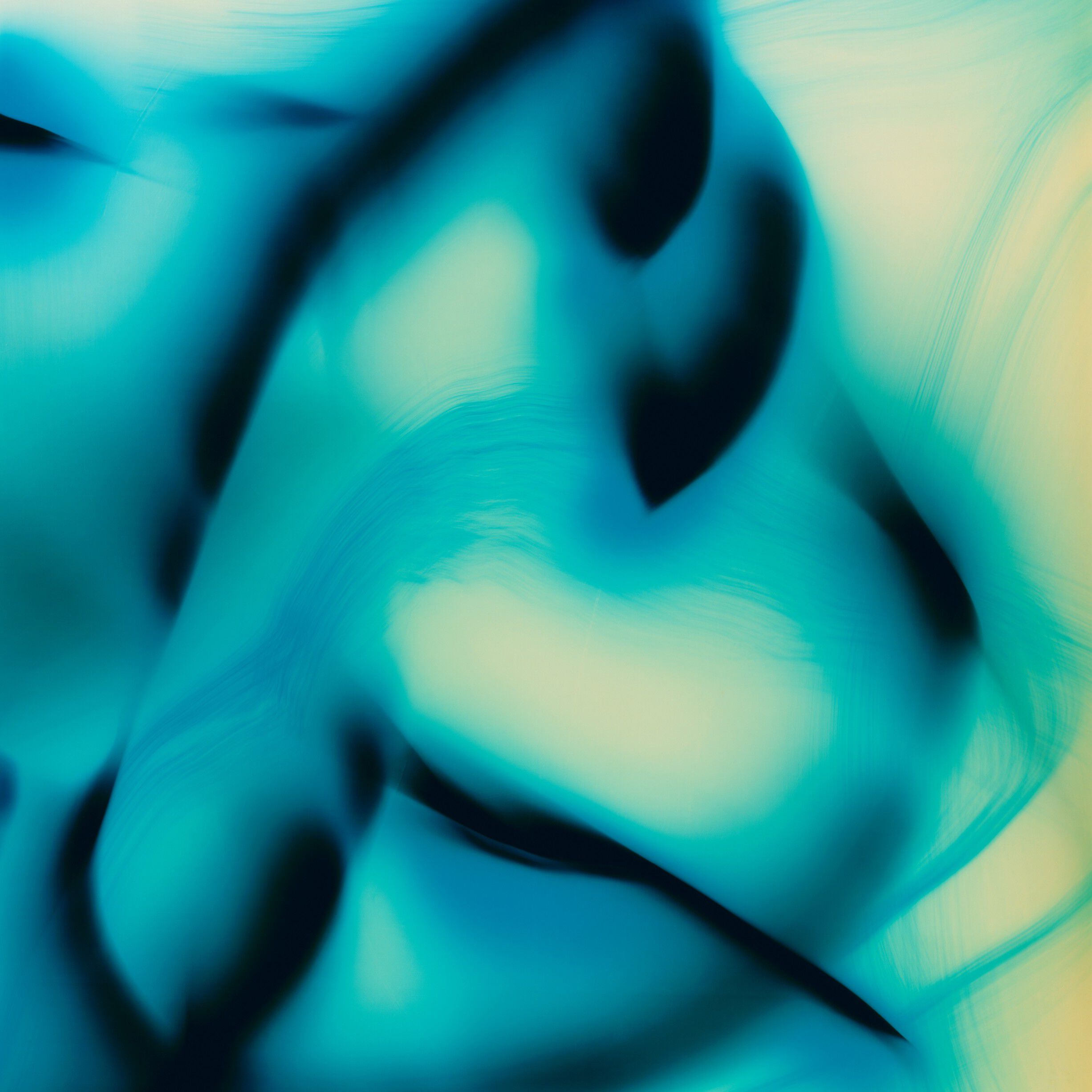 Night Veils Bois Obscur