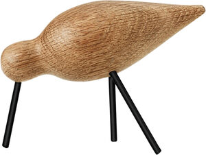 Shorebird mellan svart