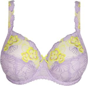 Ixia full cup bra