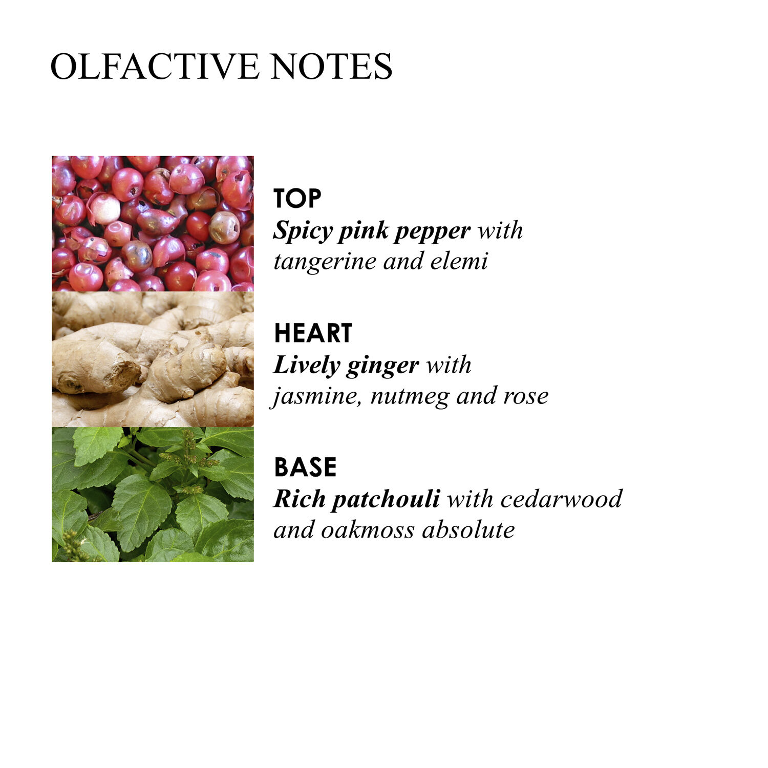 Fiery Pink Pepper Fine Liquid Hand Wash