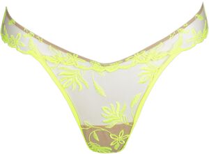 Shay thong