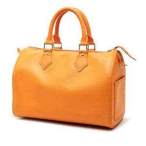 Louis Vuitton Speedy