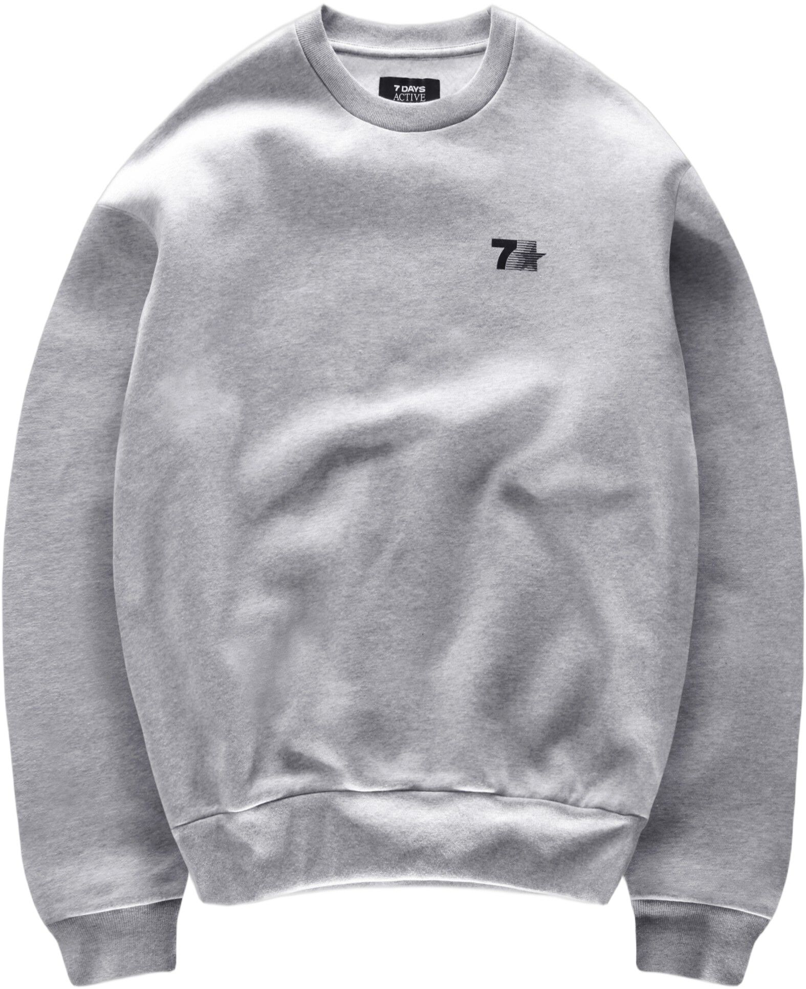 Organic Graphic Regular Crewneck