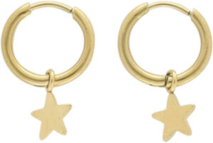 Small hoop earrings with star charm