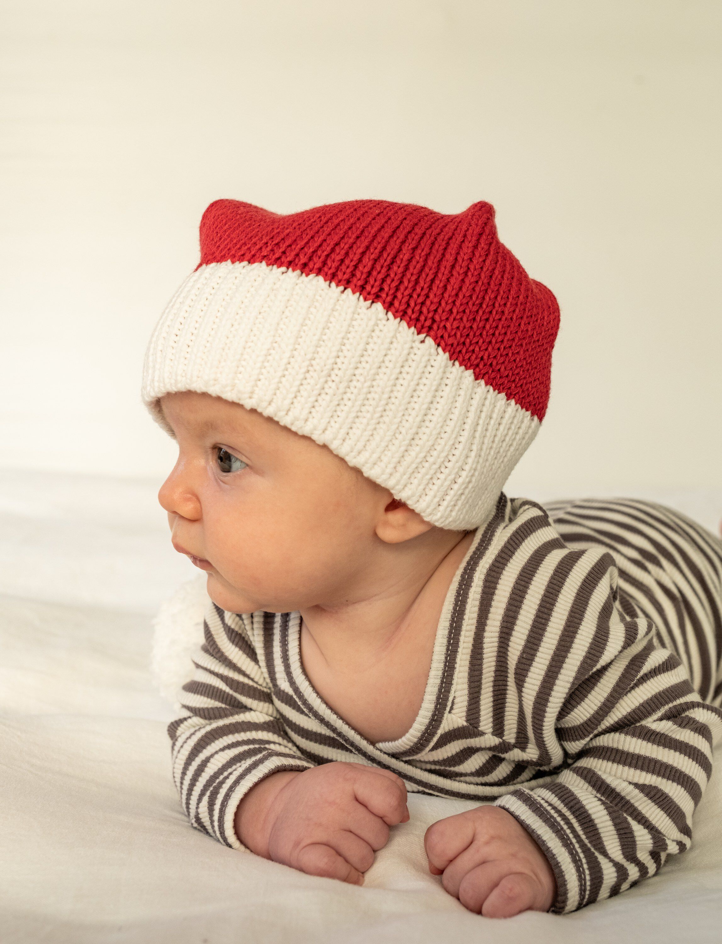 Alvie christmas hat