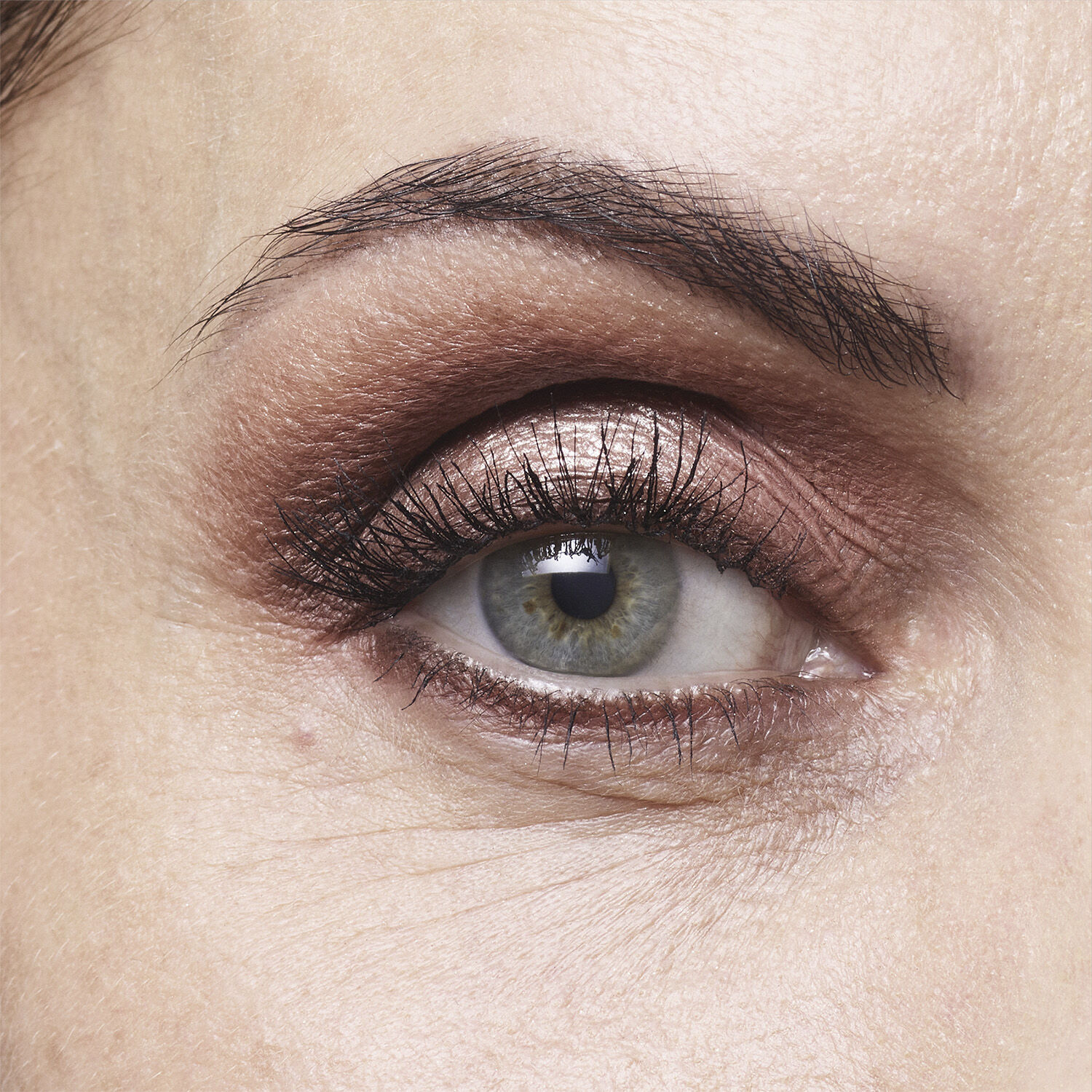 Hypn&ocirc;se Palette