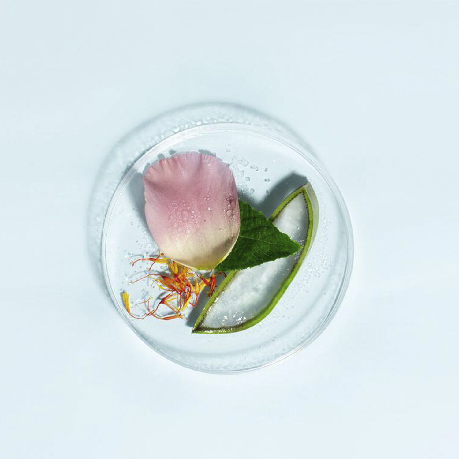 Hydrating mist - Tonifying face care