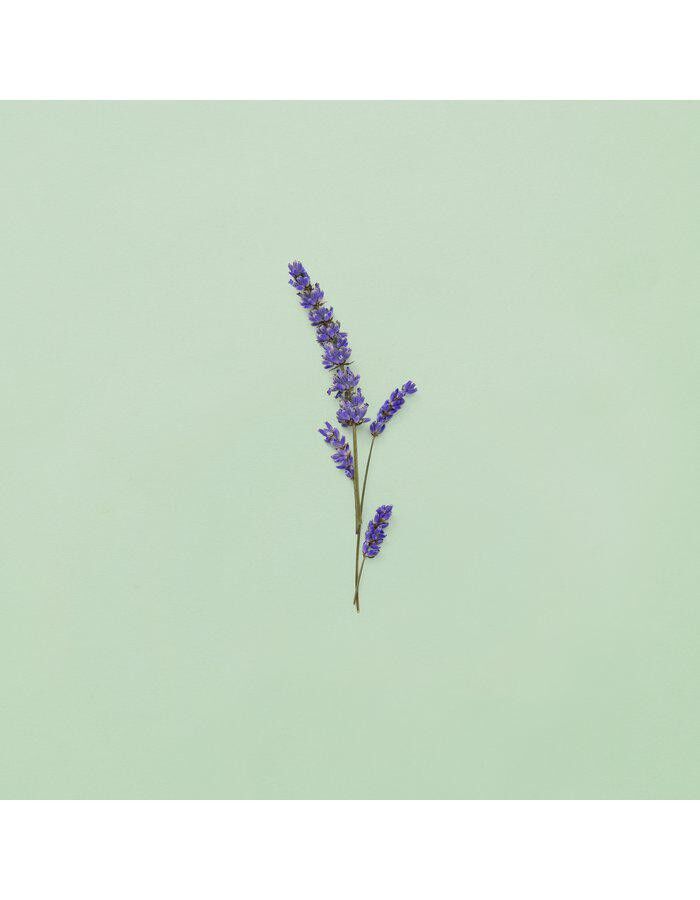 Gucci Guilty Pour Homme Eau de Toilette