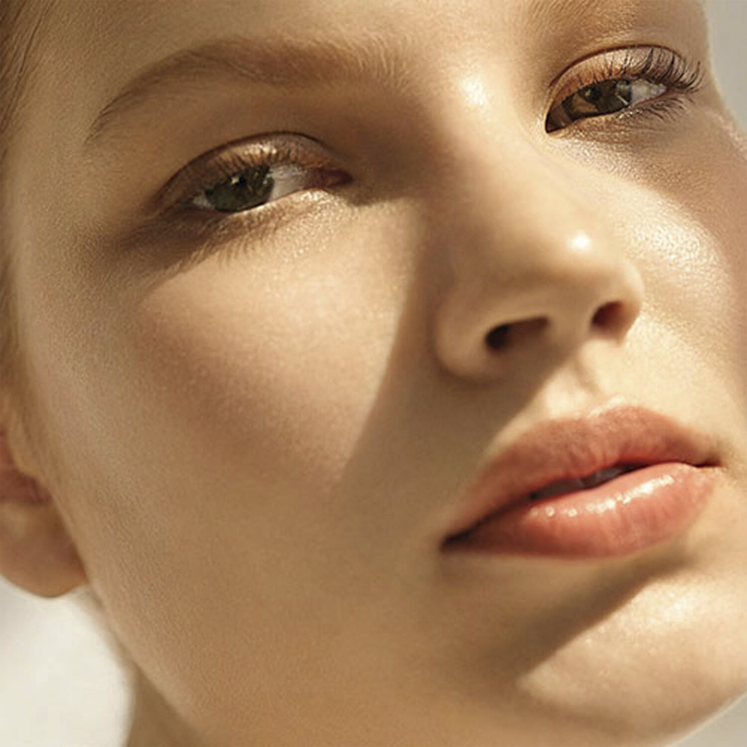 The Renewal Face Oil