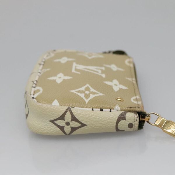Louis Vuitton Pochette Accessoires