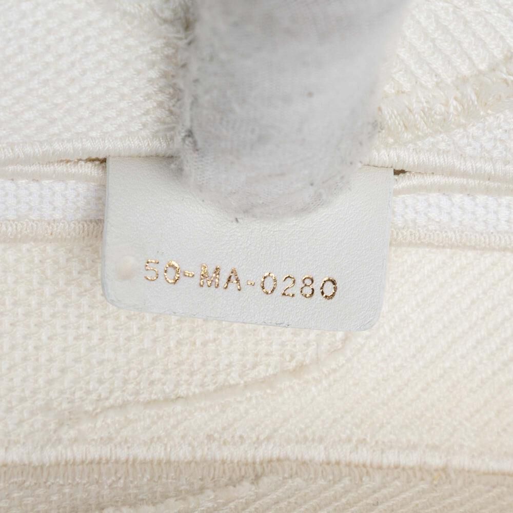 Dior Saddle Bag