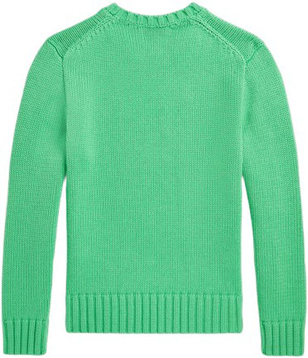 The Iconic Flag Sweater Teens