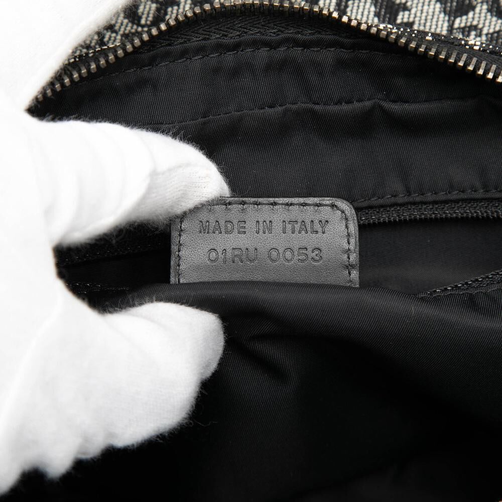 Dior Crossbody Bag