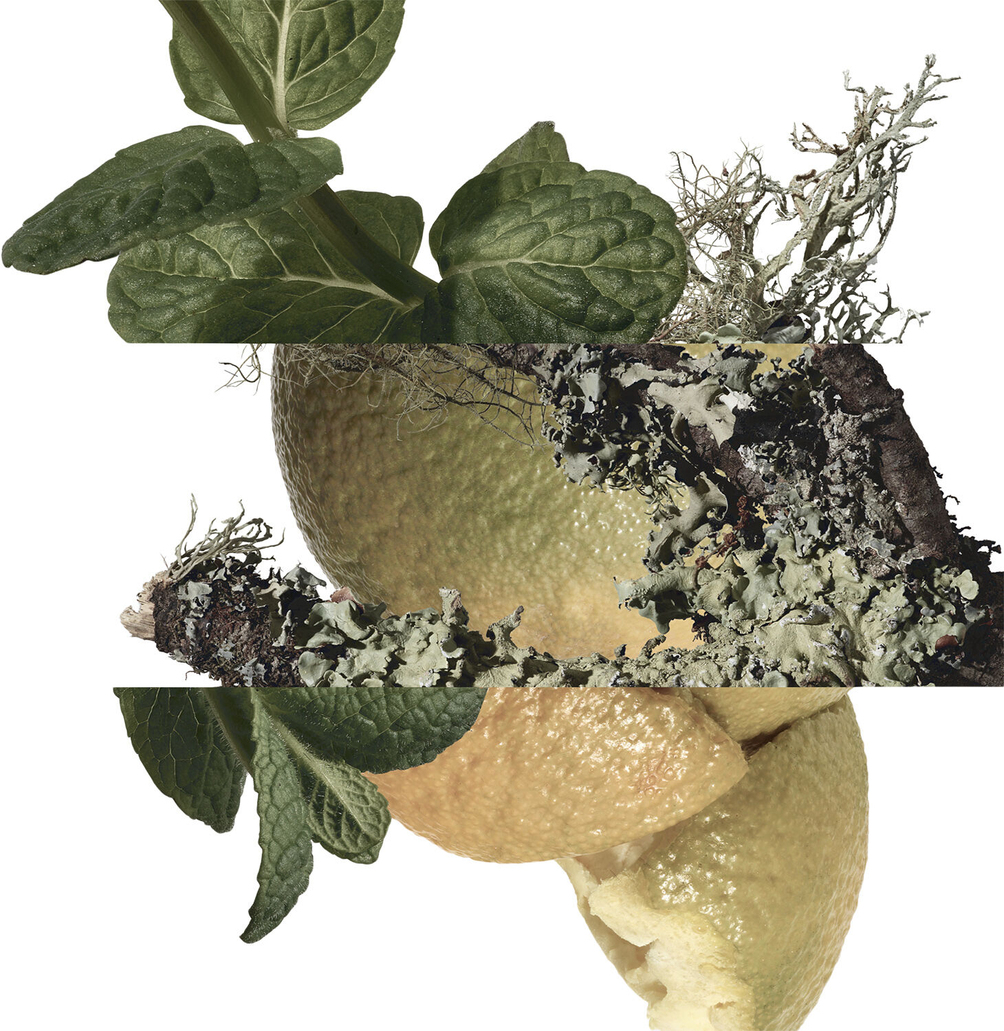 Eau d'orange verte Eau de Cologne