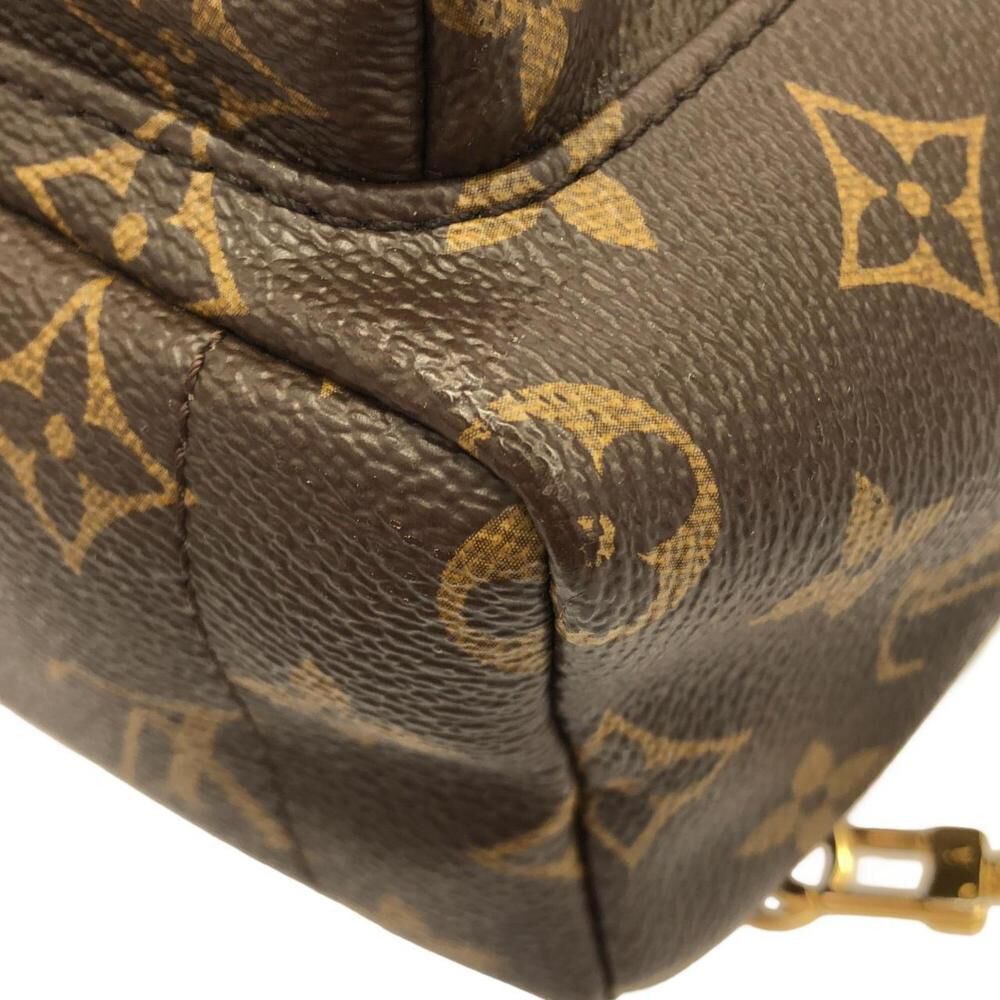 Louis Vuitton Palm Springs