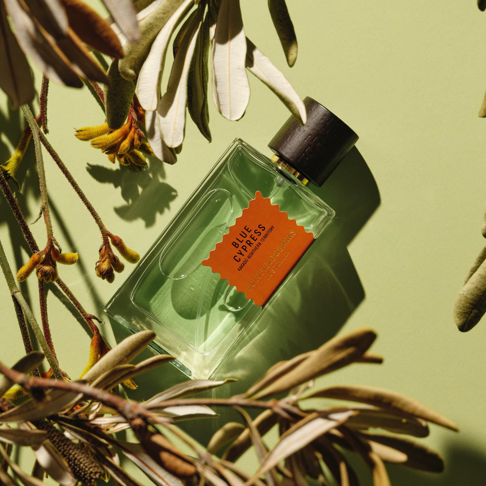 WOOD INFUSION Perfume 100ml