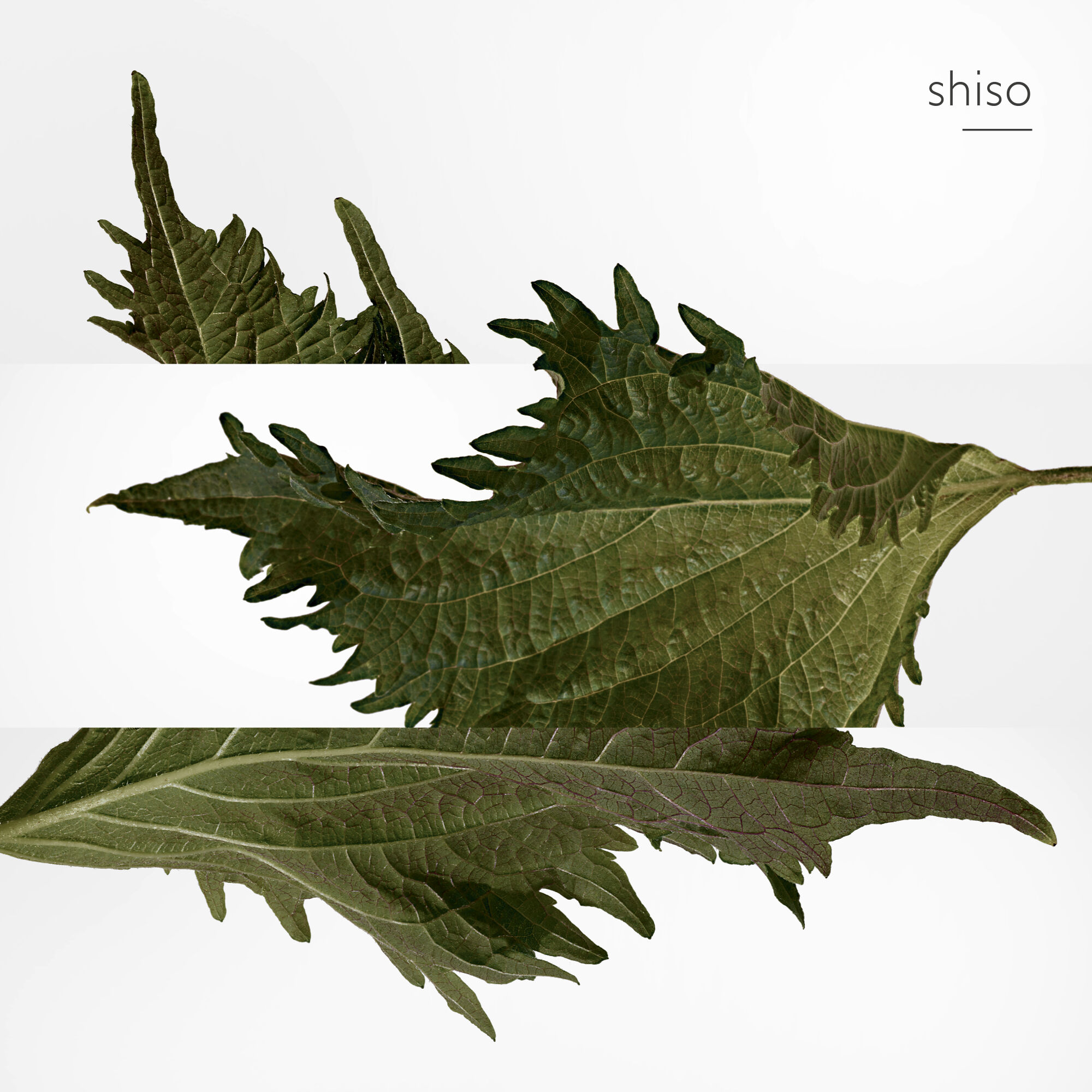 Terre d'Herm&egrave;s Parfum