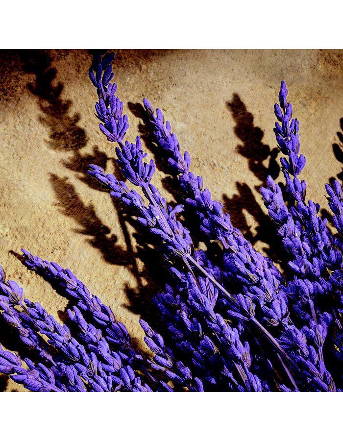 Dolce&Gabbana Devotion Pour Homme Parfum 100 ml