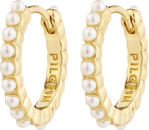 KALIA hoop earrings gold-plated