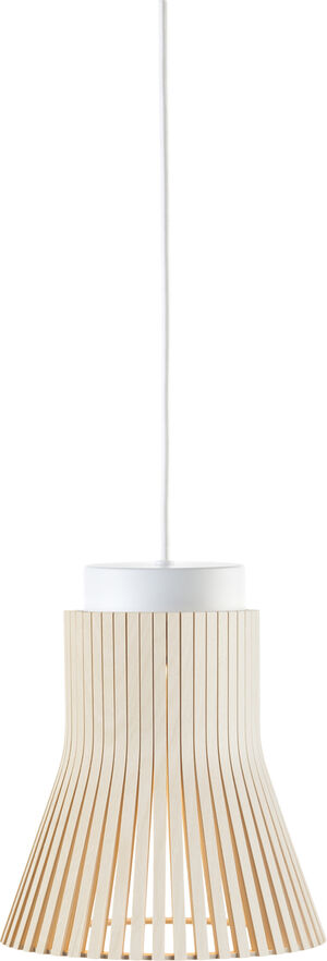 Petite 4600, Pendel