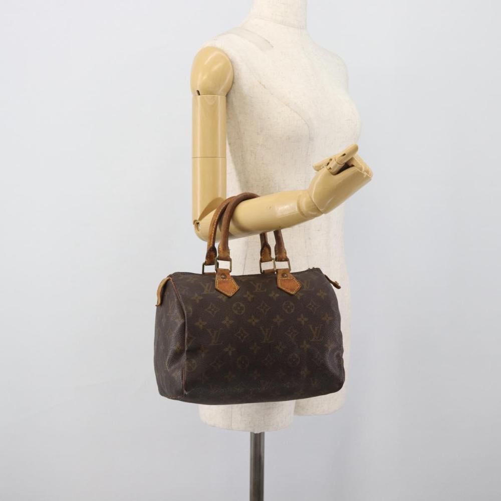 Louis Vuitton Speedy