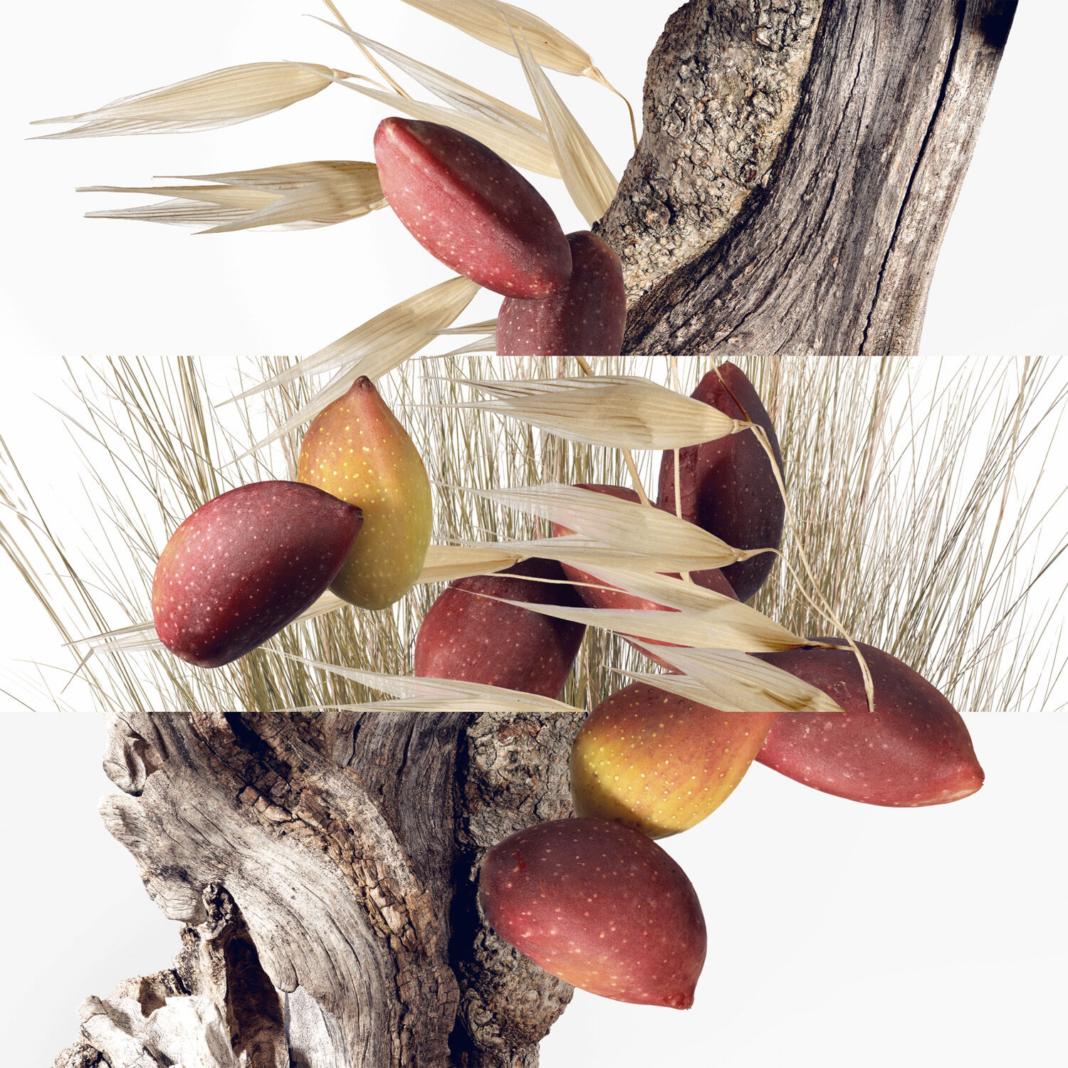 Un Jardin &agrave; Cyth&egrave;re Eau De Toilette 30ml