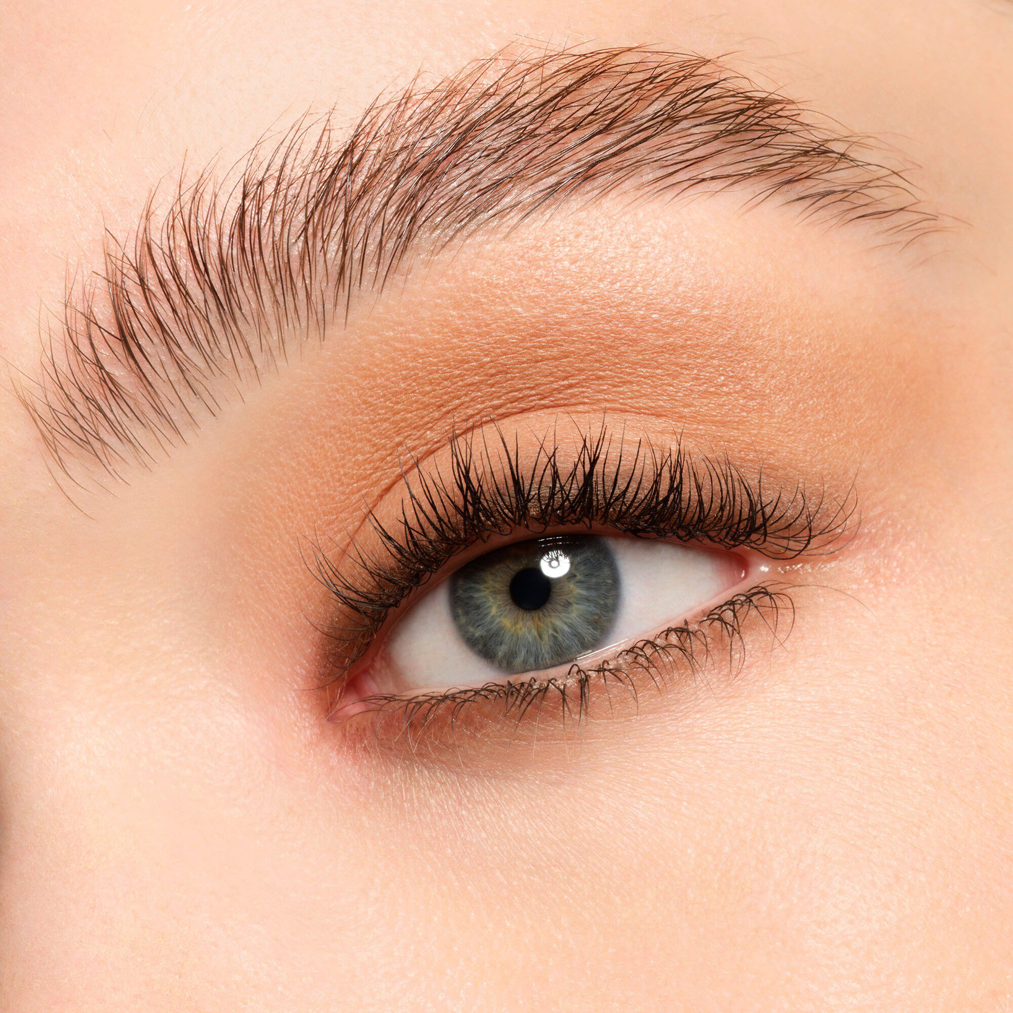 Ombres G Eyeshadow Quad - 258 Wild Nudes