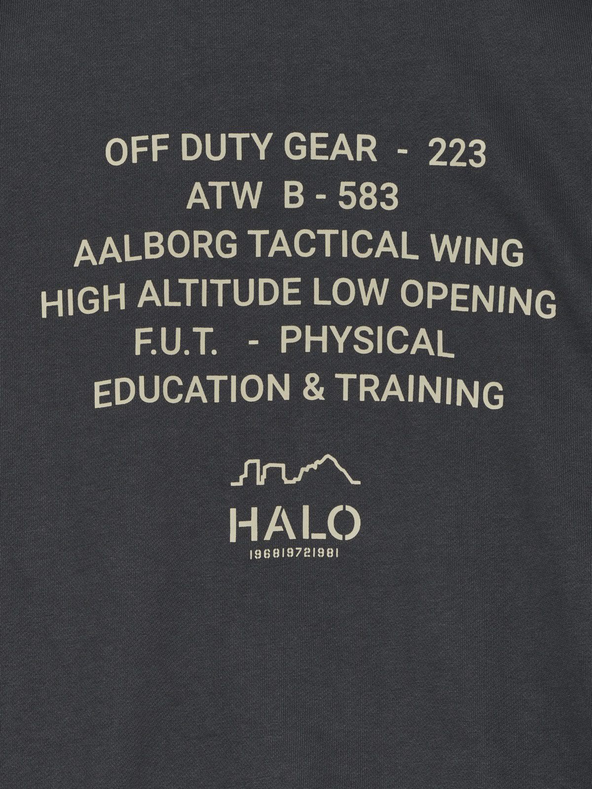 HALO GRAPHIC BOXY CREW