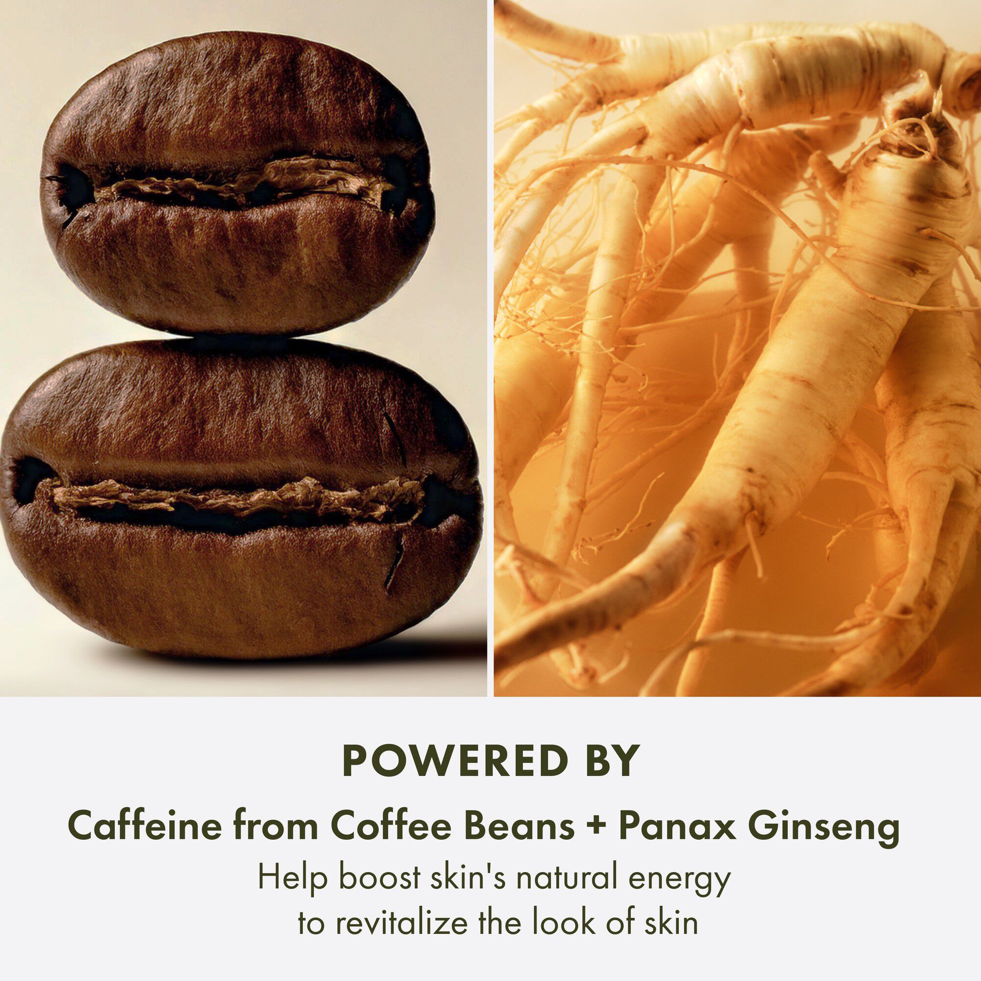 GinZing Energizing Rich Hydrating Cream