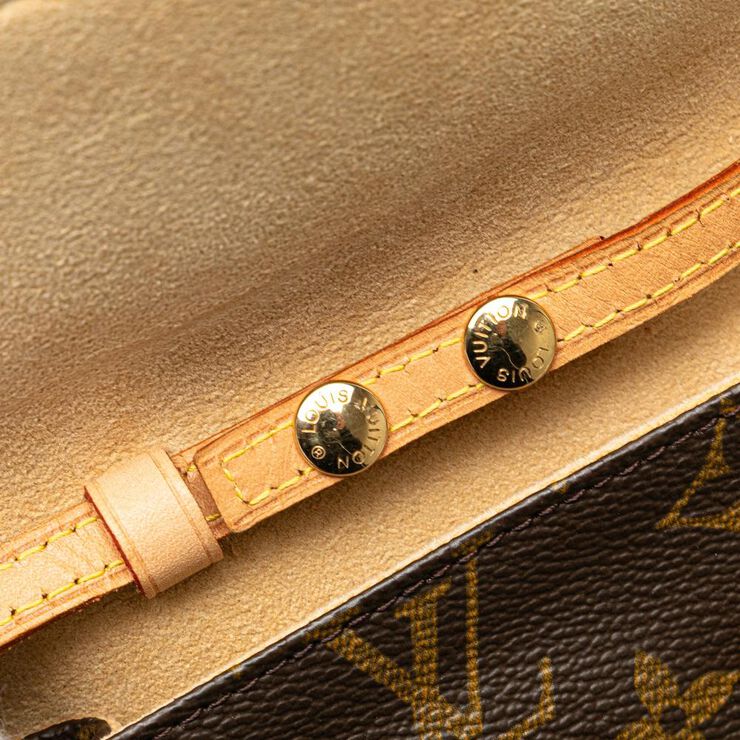 Louis Vuitton Twin Pochette