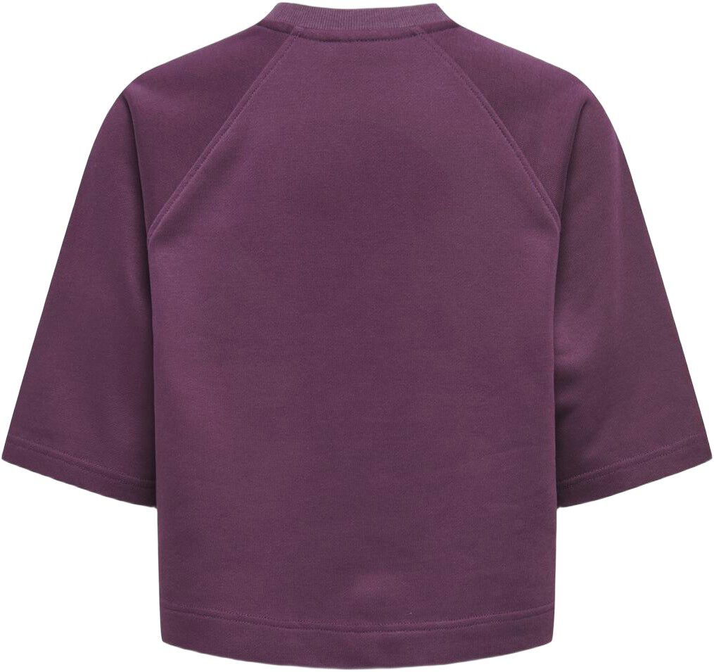 ONLDASIE 2/4 O-NECK RAGLAN UB CS SW