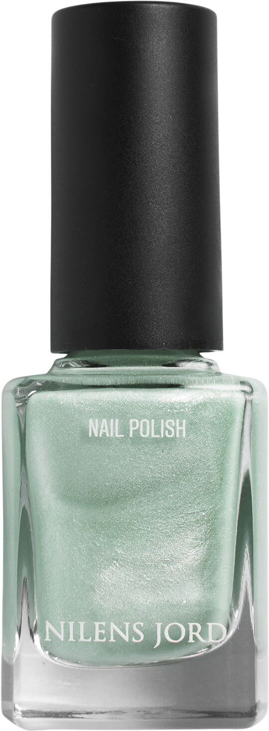 Nail Polish Northern Light