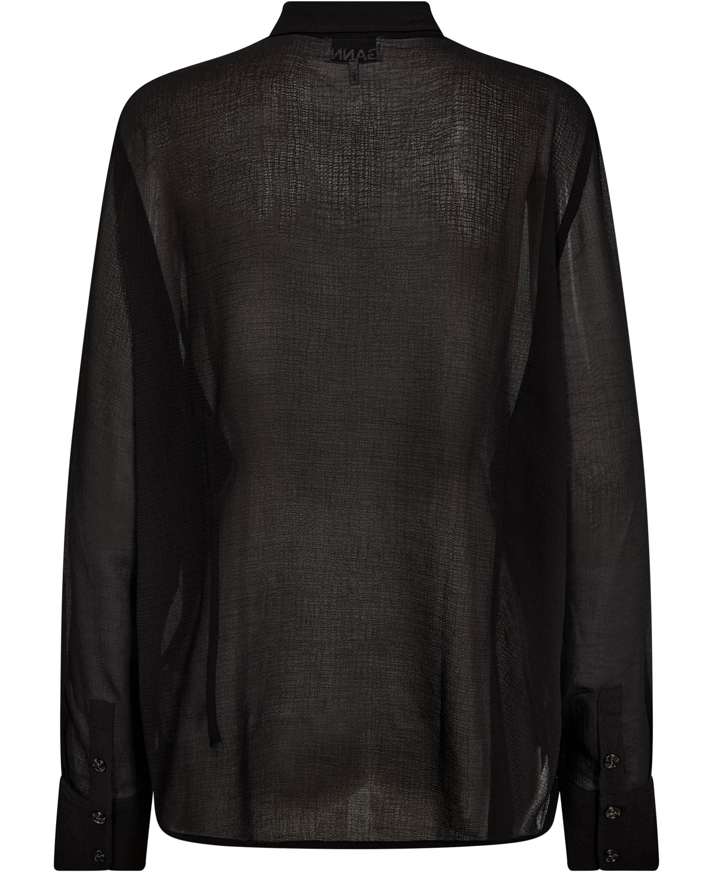 Chiffon Ruffle Shirt