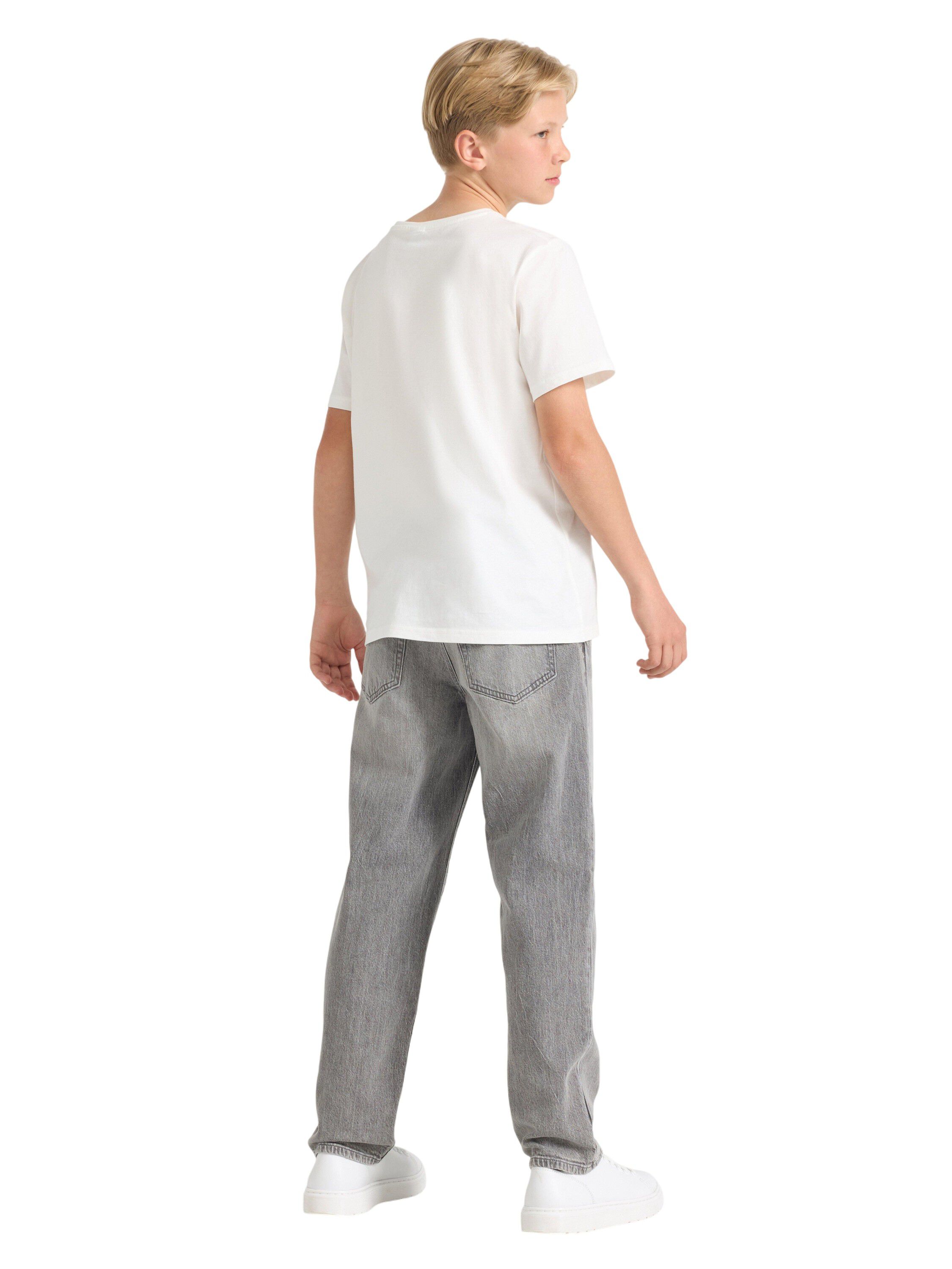 Trousers denim Wilmer grey