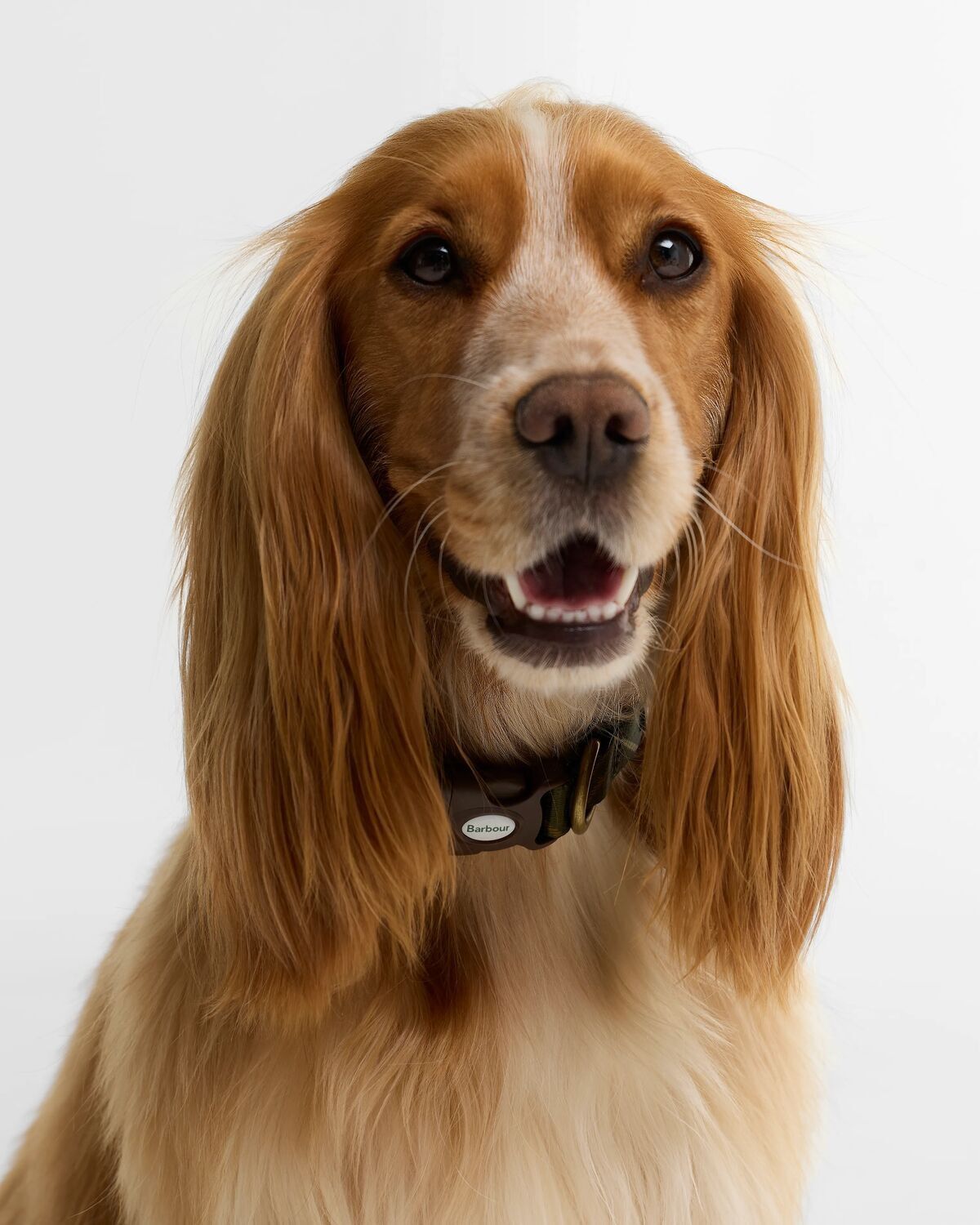 Barbour Tartan Collar