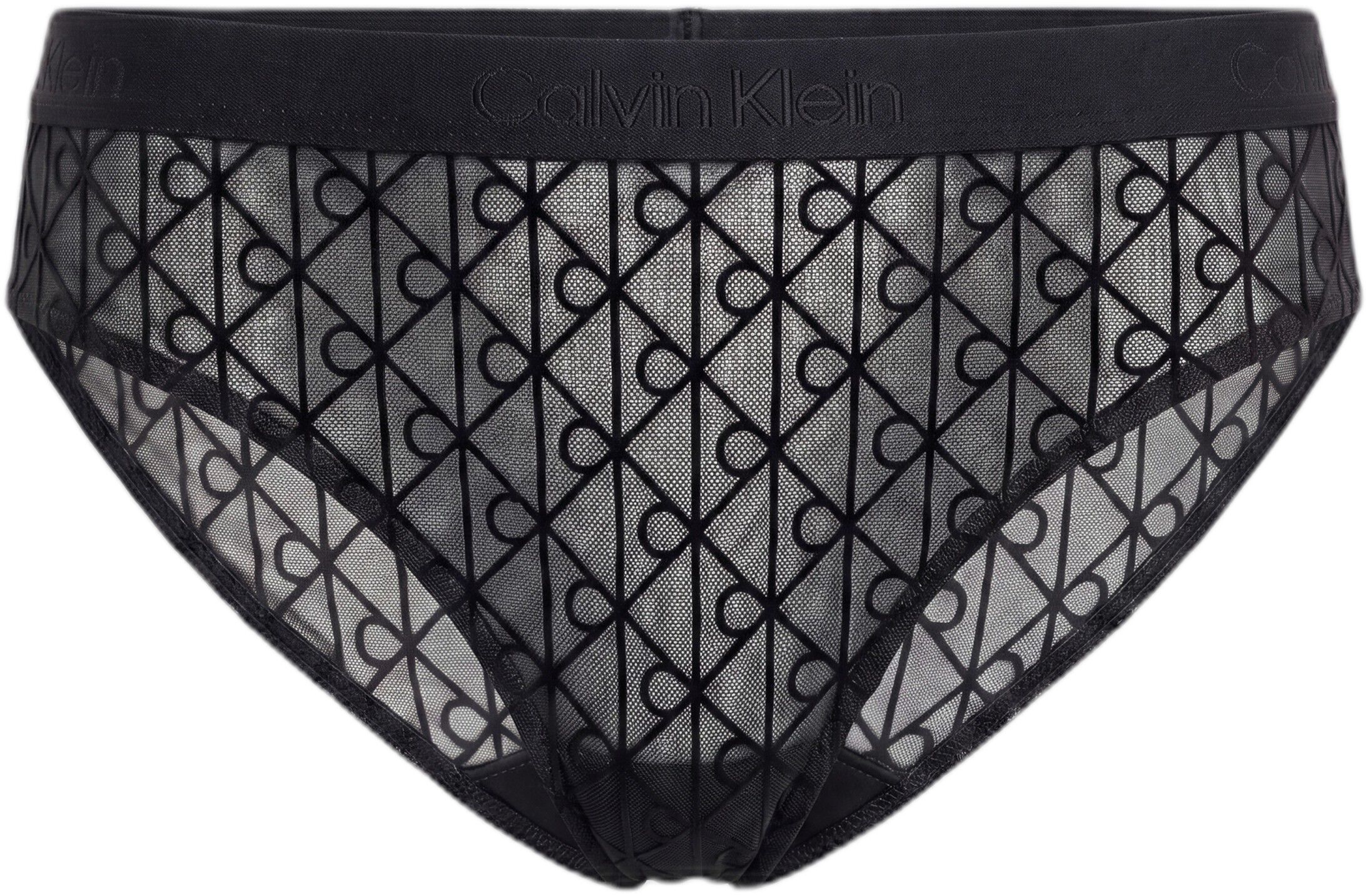 Bikini Briefs - Emblem Flocked Mesh
