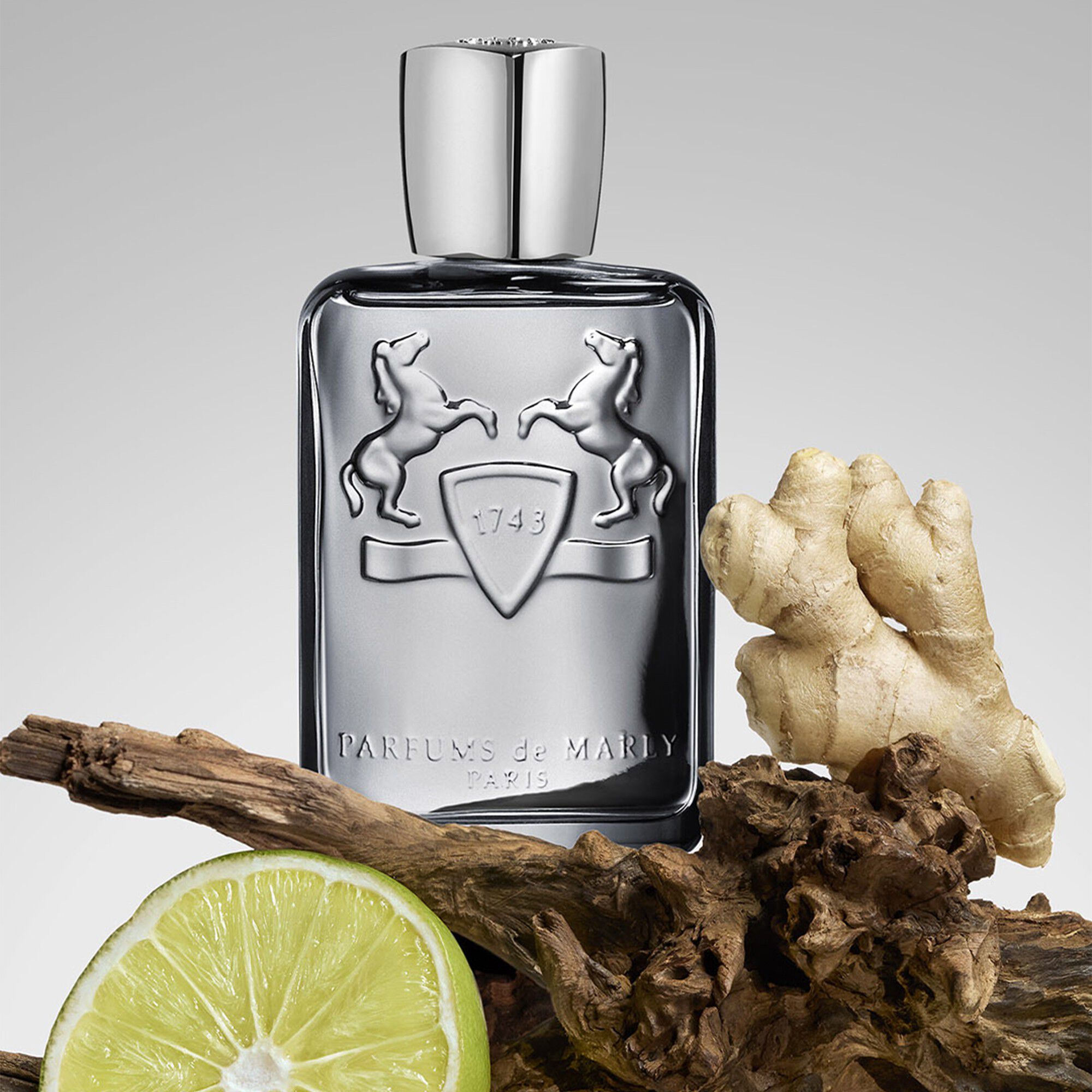 CASTLEY EDP 125 ML