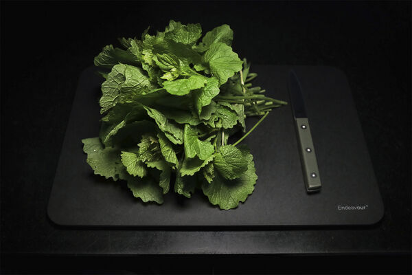 Medium Board Wood Fiber Sort