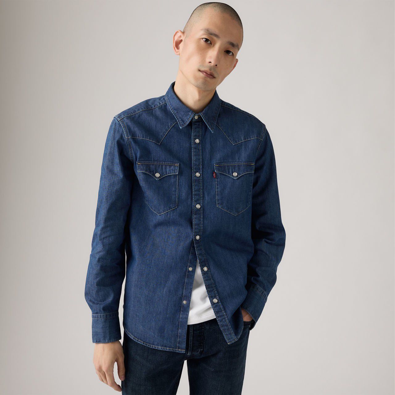 Barstow Western Standard Fit Shirt