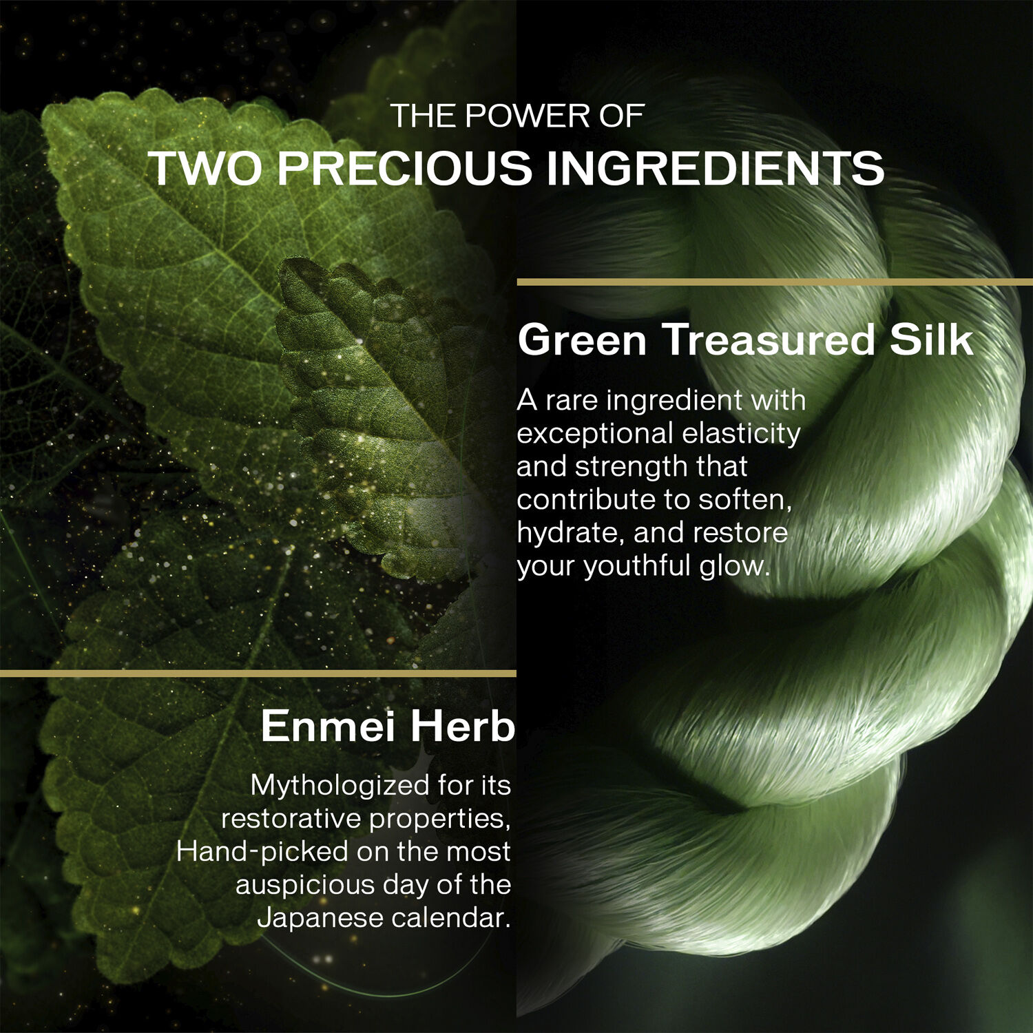 SHISEIDO Future Solution Legendary enmei cream 50 ML