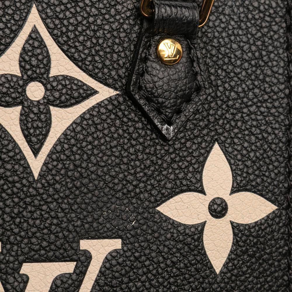 Louis Vuitton Sac Plat