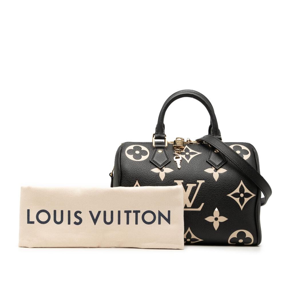 Louis Vuitton Speedy