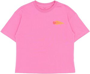 TNPia OS S_S TEE