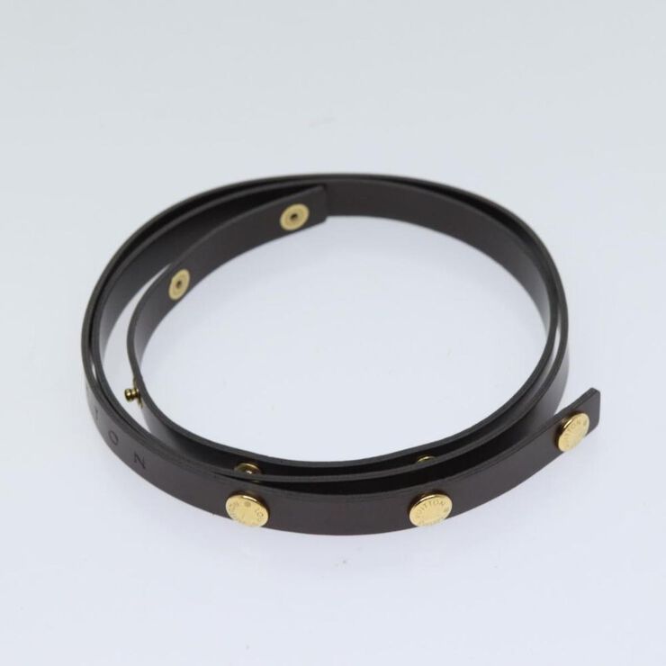 Louis Vuitton Florentine Pochette