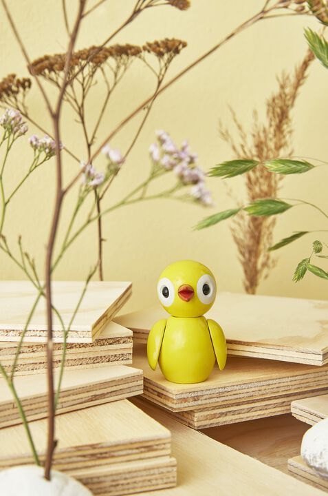 Youthful Yellow, fugl