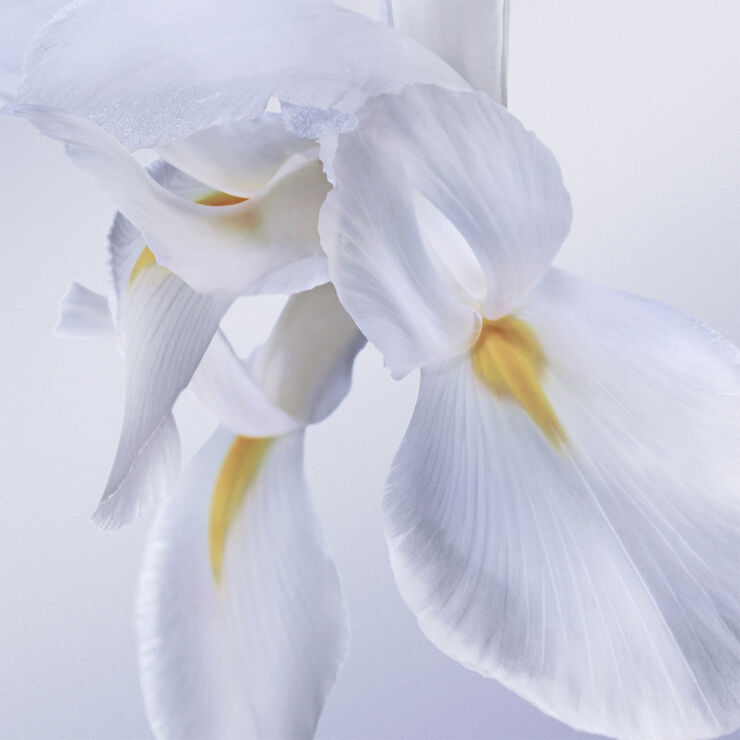 La vie est belle ROSE EXTRAORDINAIRE Eau de Parfum