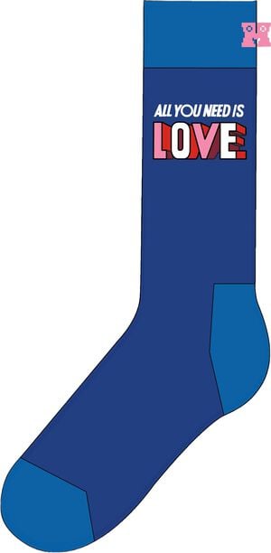 The Beatles Love Sock