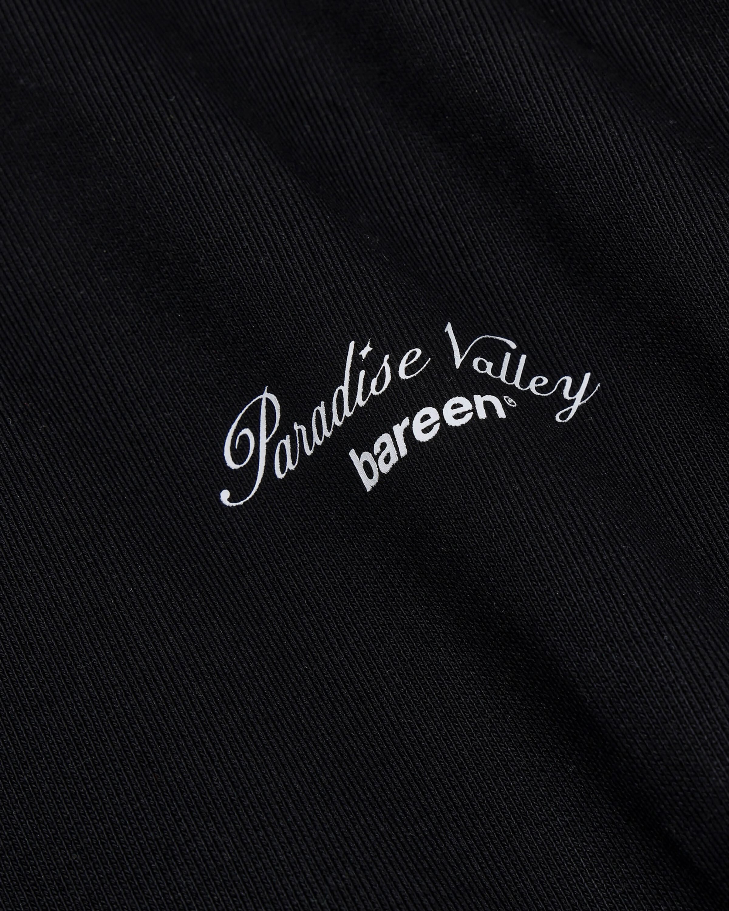 AW26 PARADISE VALLEY OVERSIZED HOOD