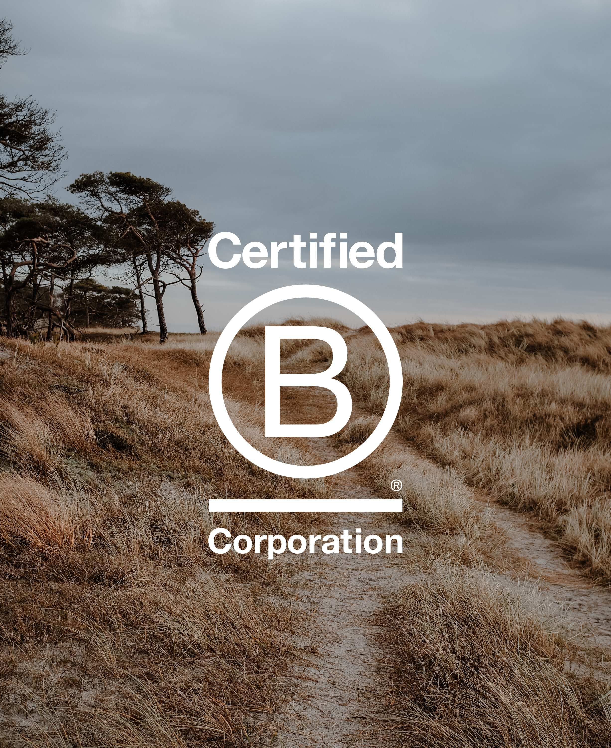 Hand Protection Day Cream