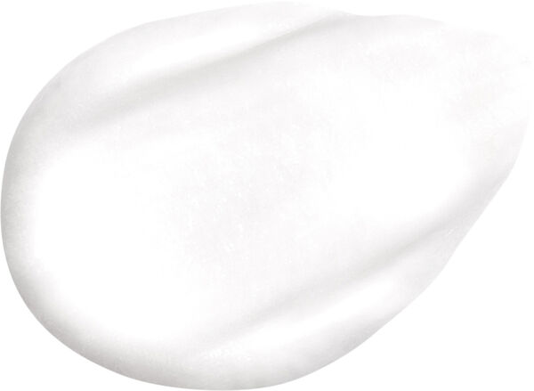 Phyto-Blanc Overnight Brightening Cream